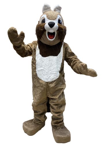 Adult Rental Mascot Costumes