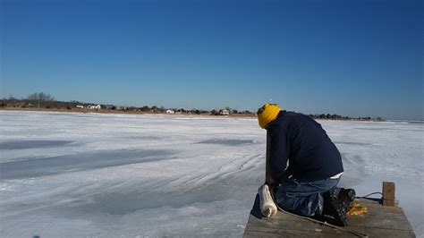 The Natural World of Mastic Beach