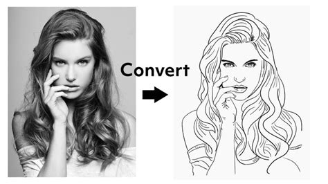 Line Art Tutorial Using Brush Tool In Adobe Illustrator Photo To