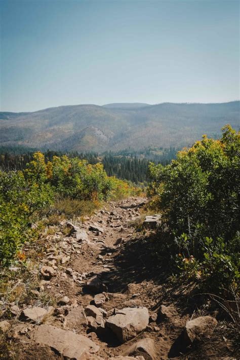 North Fork Cattle Creek Trail Colorado Off Road Trail Map And Photos Onx Offroad