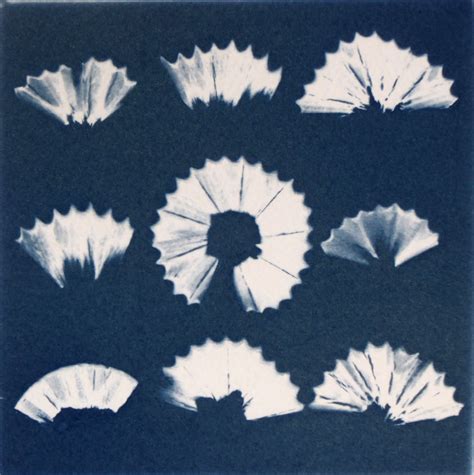 Cyanotypes A Step By Step Guide With Photographs Throughout