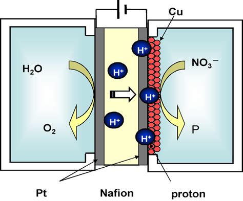 Schematic Illustration Of The Electrocatalytic Reactor Used For The