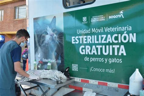 Esterilización gratuita de animales en Bogotá cupos horarios y más