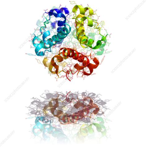 Insulin molecule - Stock Image - A619/0134 - Science Photo Library