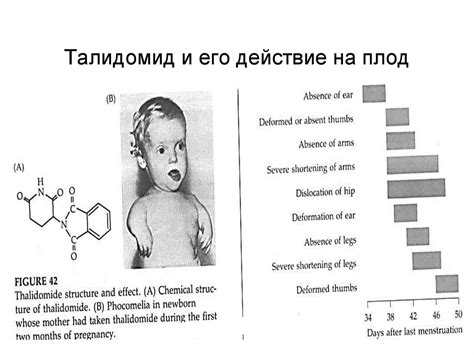 Фенотип и факторы, его определяющие - презентация онлайн