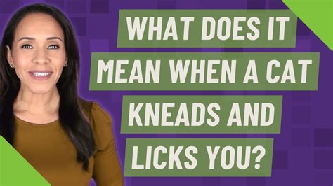 What Does It Mean When A Cat Kneads And Licks You YouTube