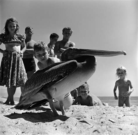 A Couture Life Beach Bums In San Onofre California By Loomis Dean