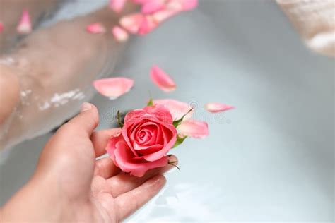 Woman Holding Rose Flower While Taking Bath Closeup Romantic