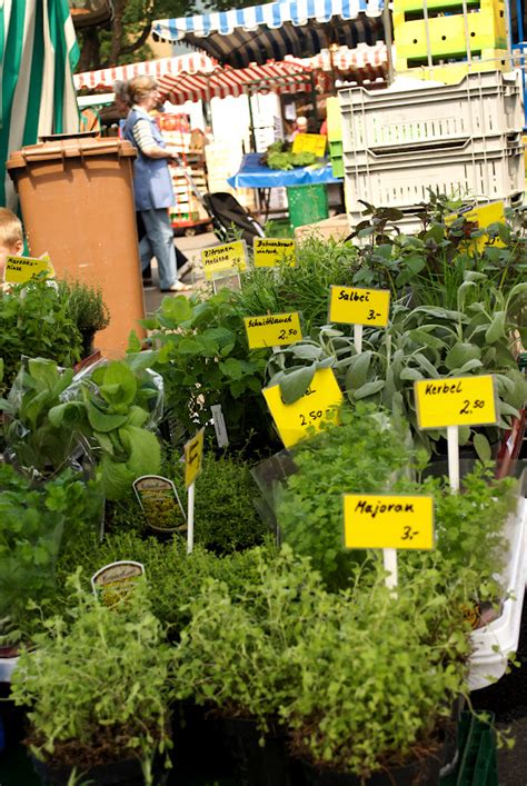 Stroud Is All Over the Place: Farmers Markets in Germany