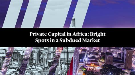 Cleary Gottlieb Private Capital In Africa Bright Spots In A Subdued