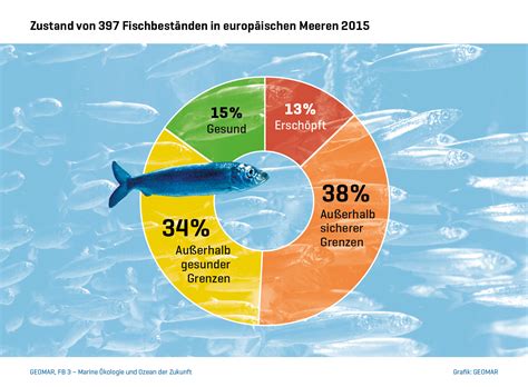 Fischerei In Europa Mehr Gewinn Bei Weniger Aufwand M Glich