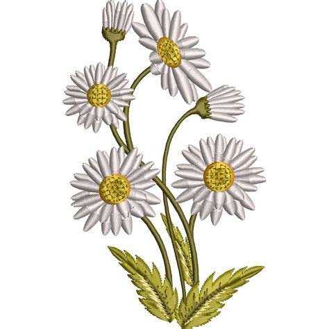 Daisy Embroidery Designs