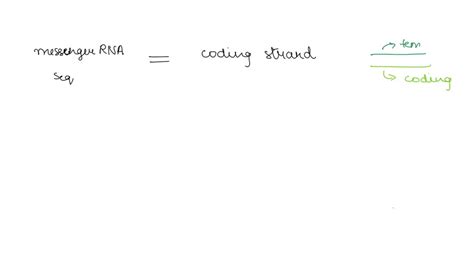 SOLVED Messenger RNA Has Sequence Similar To The Coding Strand The DNA