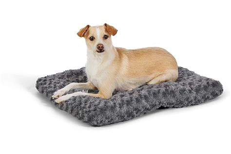 13 Best Dog Beds In 2023 According To Experts Atelier Yuwaciaojp