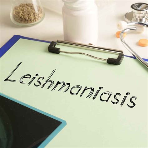 Leishmaniasis: Causes, Symptoms, And Prevention