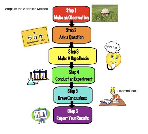 Steps Of Scientific Method 7th Grade Worksheets