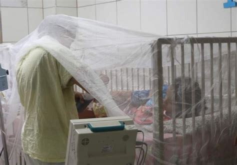 Más de 10 mil casos de dengue reporta Salud a nivel nacional 200 son