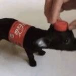 Puppy Luna S Porn Videos Pornhub