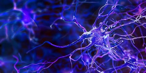 27000 Nerve Condition Pictures