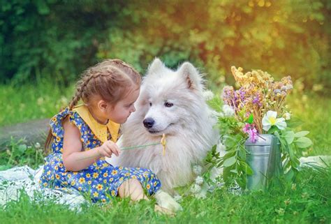 ребёнок, девочка, платье, косички, собака, пёс, игра, природа, лейка ...