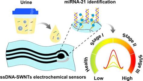 Flexible Point Of Care Electrodes For Ultrasensitive Detection Of