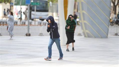 阵风七八级！北京大风蓝色预警中，局地有扬沙北京日报网