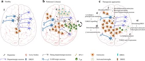 Targeting The Dopaminergic System As Therapy For Parkinsons Disease