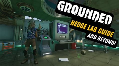 Grounded Guide Reach The Hedge Lab Level Arms And Armor And