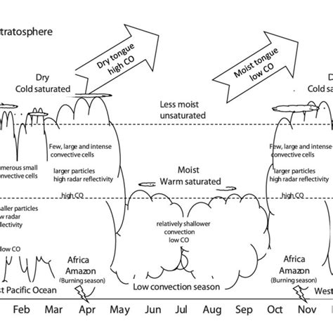 Schematic diagram of processes controlling the seasonal cycle in water ...