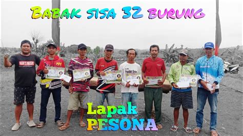 Babak Sisa 32 Burung Lapak PESONA Total 3jt YouTube