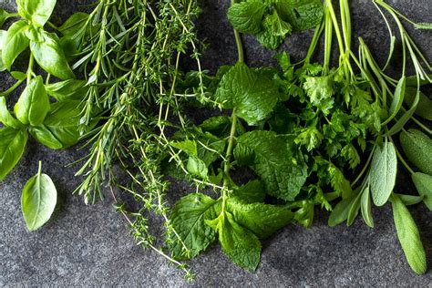 Fresh Herbs How To Use And Store It Fresh Living