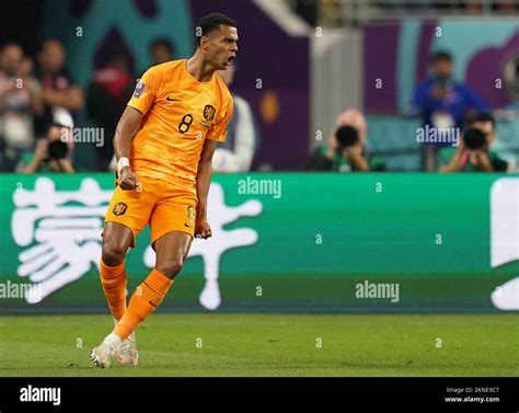 Doha Qatar 25th November 2022 Gakpo Cody Of Netherlands Celebrates