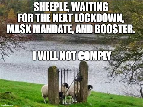 Sheeple Imgflip