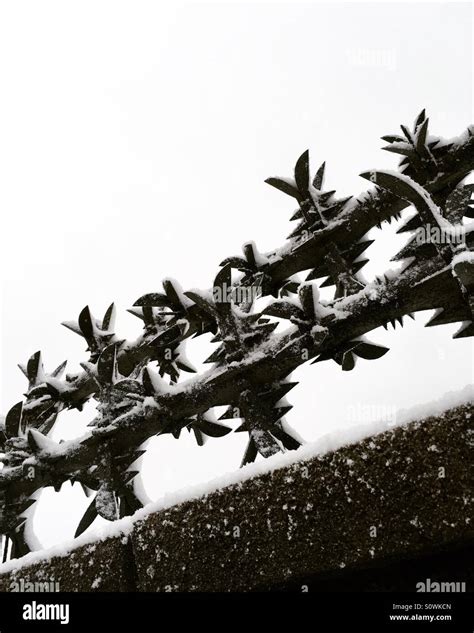 Security Spikes High Resolution Stock Photography And Images Alamy