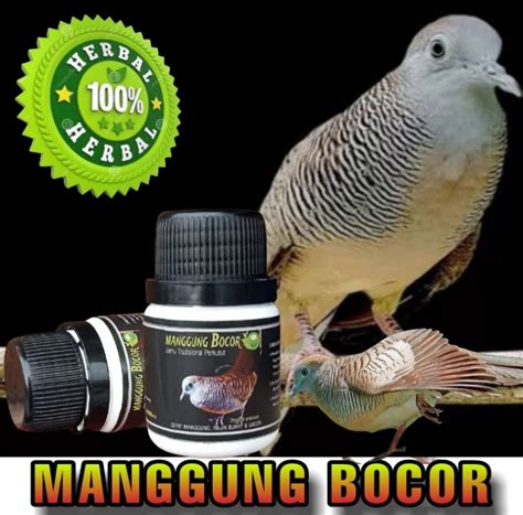 Original Produk Jamu Perkutut Manggung Bocor Butir Pil