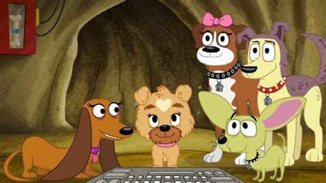 Pound Puppies 2010 Wiki | FANDOM powered by Wikia