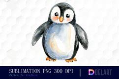 Cute Penguin Watercolor Clipart