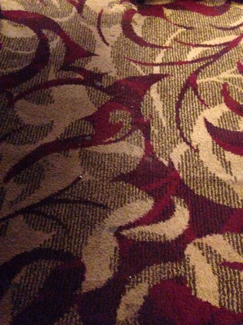 British Pub Carpet In The Roman Bath York North Yorkshire Jan 2017