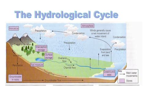 Aqa Rivers Lesson 1 Drainage Basin Hydrological Cycle Teaching Resources