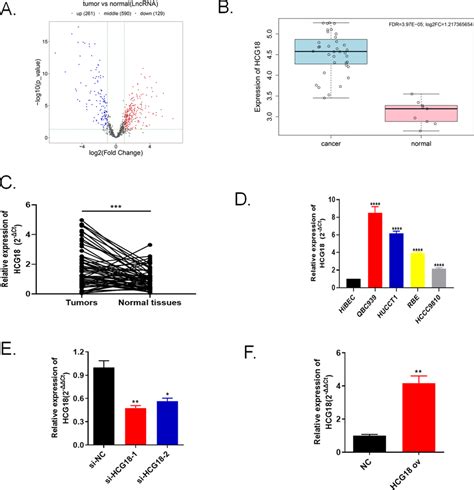 Lncrna Hcg Was Highly Expressed In Cholangiocarcinoma Tissues And