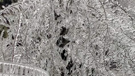 Maltempo In Liguria Nellentroterra Di Genova Frane Gelicidi E Alberi