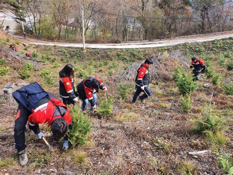 ′숲가꾸기 1일 체험행사′ 실시