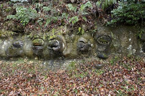 Nodule Stock Photo Image Of Stratum Stones Grit Underground 84119212