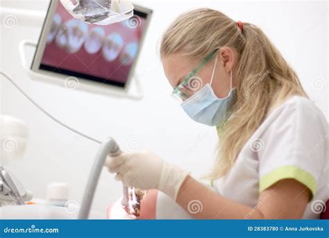 Studying Dentistry With Modern Technologies Stock Photo Image Of