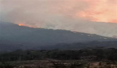 Kebakaran Hutan Di Gunung Lawu Meluas Dan Sudah Masuk Wilayah Kabupaten