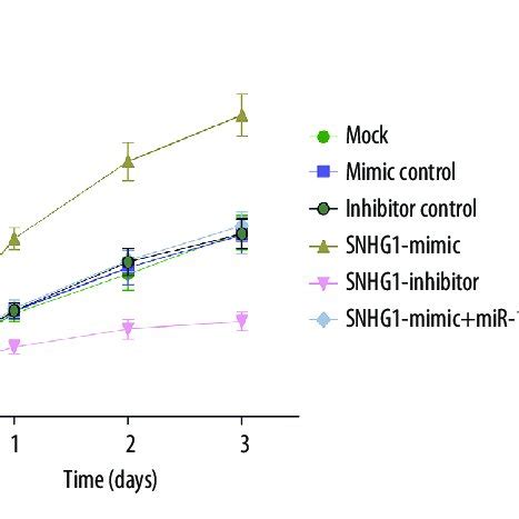 Lncrna Snhg Regulated Proliferation Migration And Invasion Of Hcc