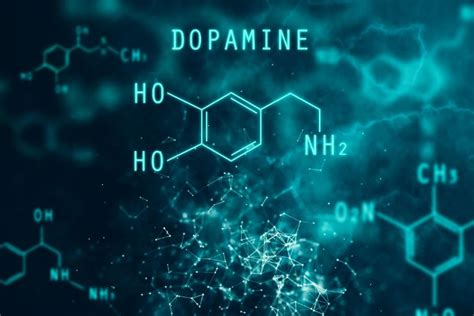Dopamine Là Gì Các Cách Làm Sản Sinh Dopamine