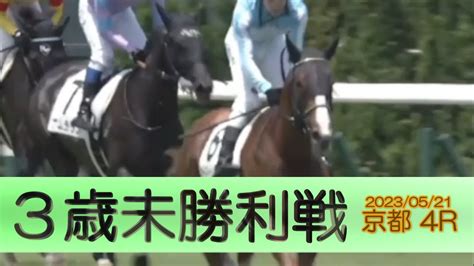 20230521【パドック返し馬つき】京都4r 3歳未勝利戦 セーヌドゥレーヴ ダイワメジャー ＃レースは10分ころから Youtube