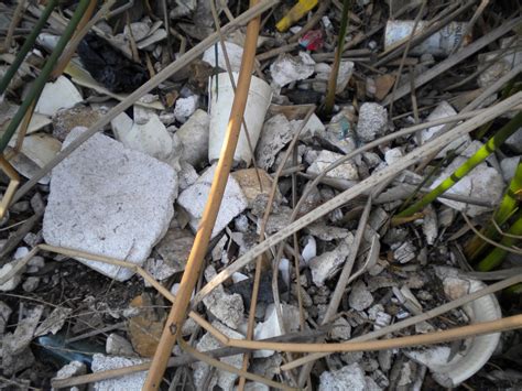 From Talking Trash to Tracking Trash - I Love A Clean San Diego