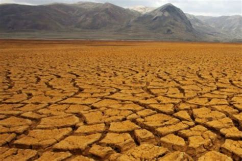 Puerto Rico presenta protocolo para combatir sequía y cambio climático ...